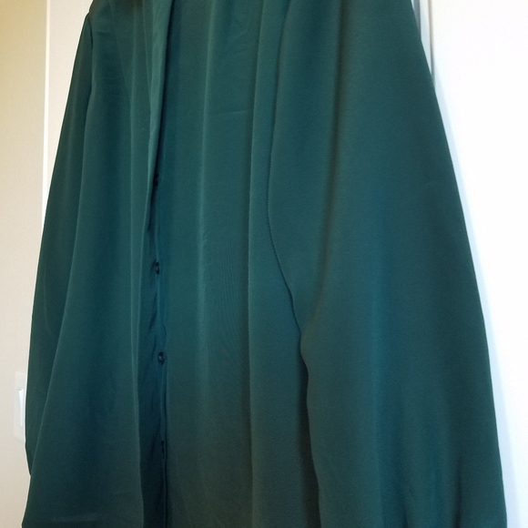 Pendleton Hidden Button Mock Neck Blouse - Picture 6 of 9